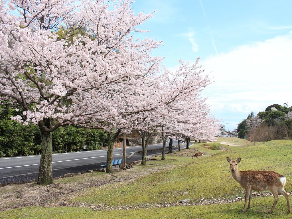 Miyajima Seaside Hotel Itsukushima Zewnętrze zdjęcie