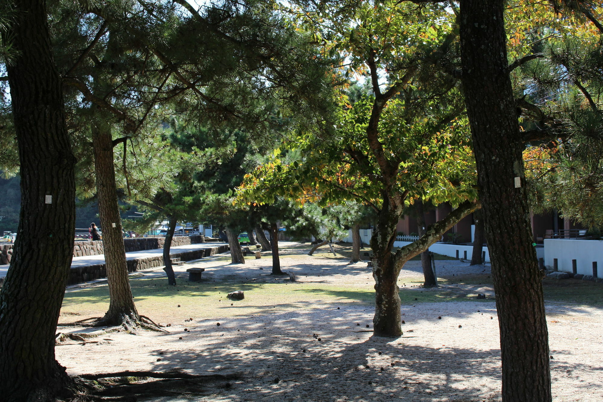 Miyajima Seaside Hotel Itsukushima Zewnętrze zdjęcie